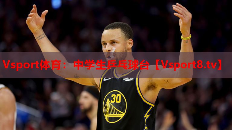 Vsport體育：中學生乒乓球臺