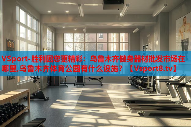 VSport-勝利因您更精彩：烏魯木齊健身器材批發(fā)市場在哪里,烏魯木齊體育公園有什么設(shè)施？