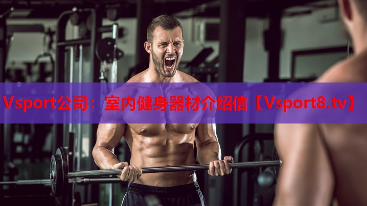 Vsport公司：室內健身器材介紹信