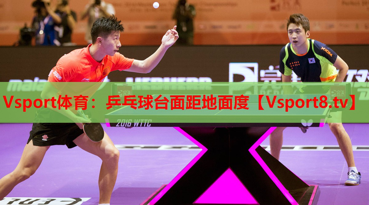 Vsport體育：乒乓球臺面距地面度