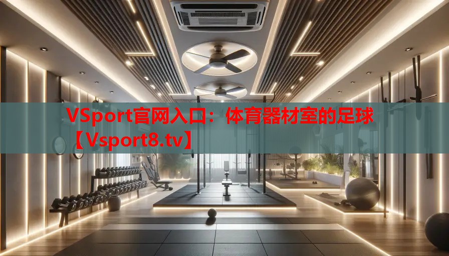 VSport官網入口：體育器材室的足球