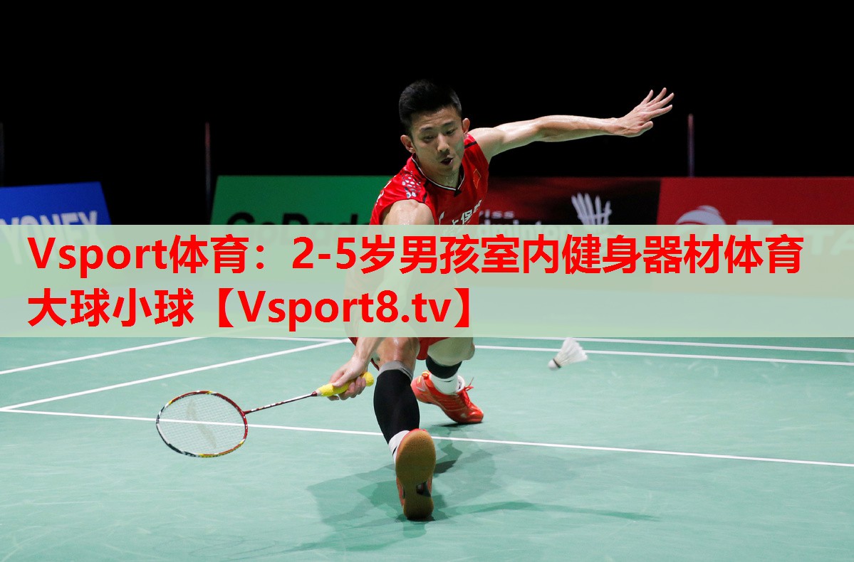 Vsport體育：2-5歲男孩室內健身器材體育大球小球