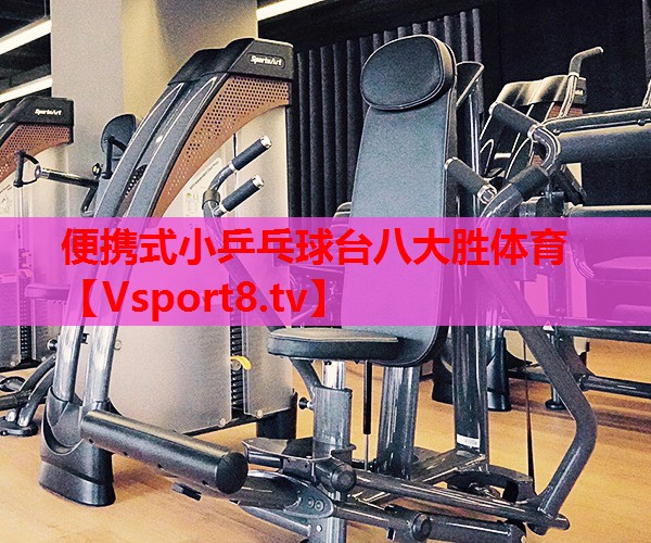 便攜式小乒乓球臺(tái)八大勝體育