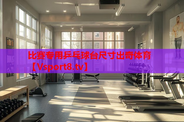 比賽專(zhuān)用乒乓球臺(tái)尺寸出奇體育